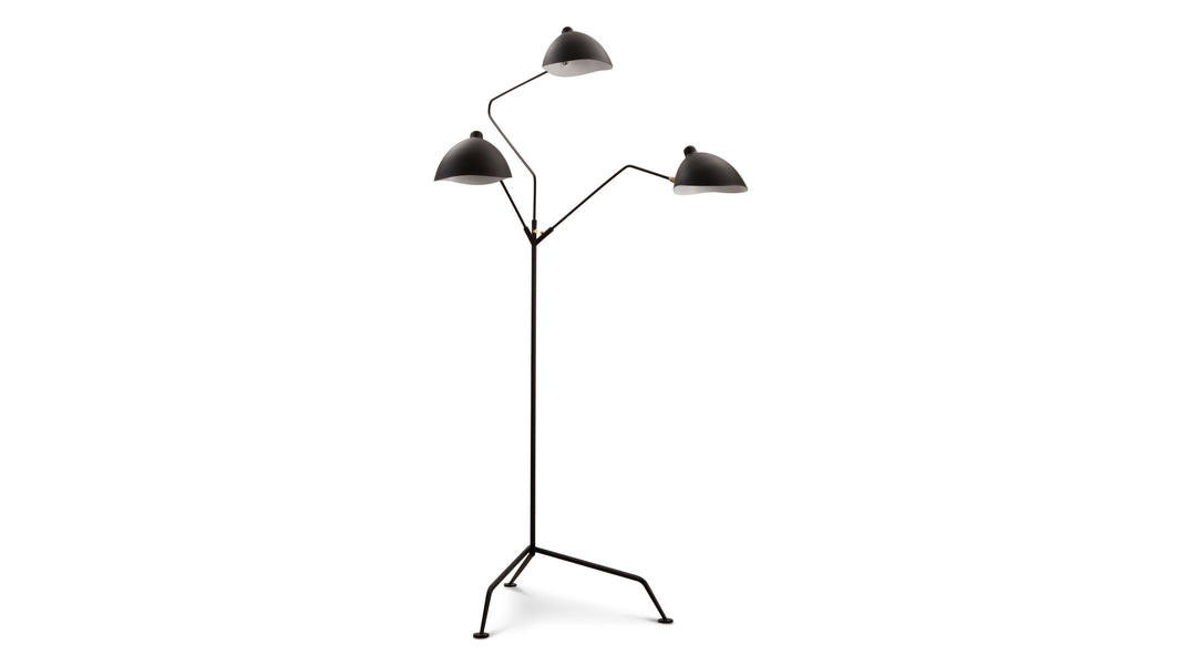 MouilleBlack
