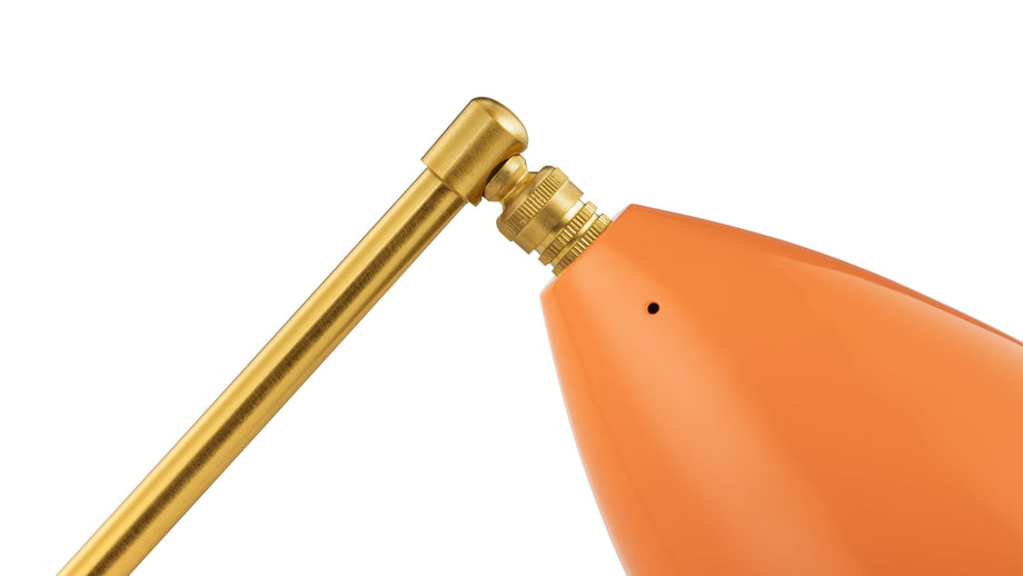 HeuschreckeOrange