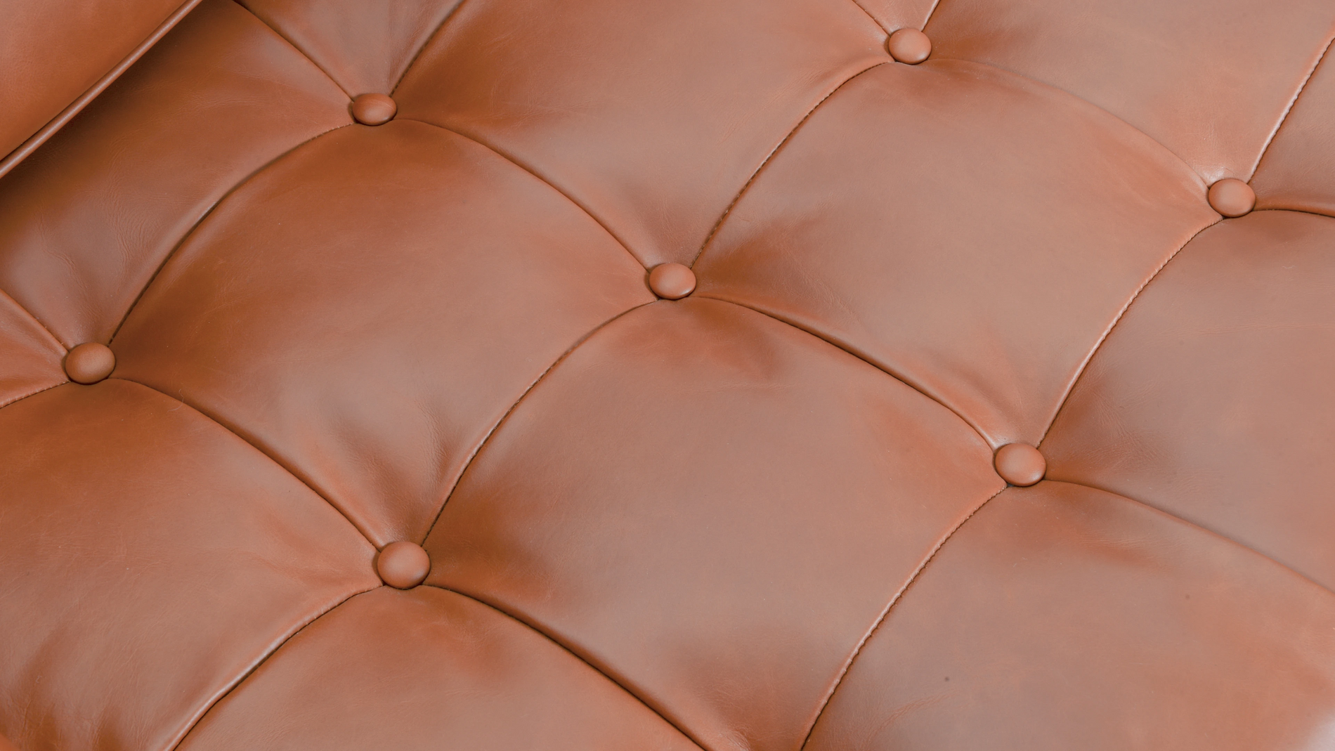 FlorenceTan Premium Leather