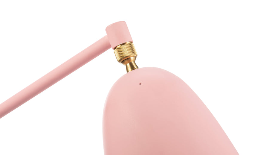 Konik polnyPink