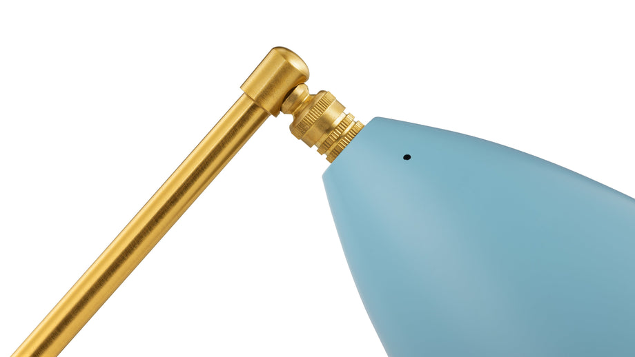 HeuschreckeBlue
