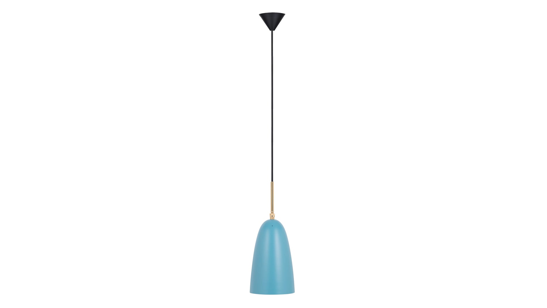 GrasshopperBlue
