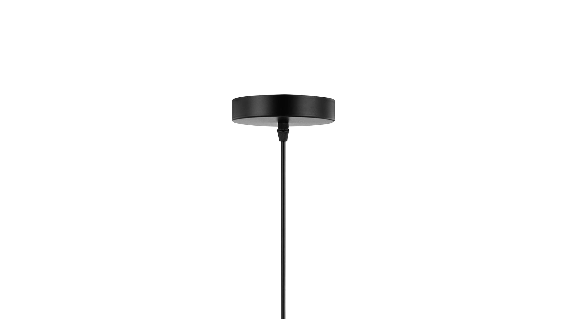 AmmoniteBlack