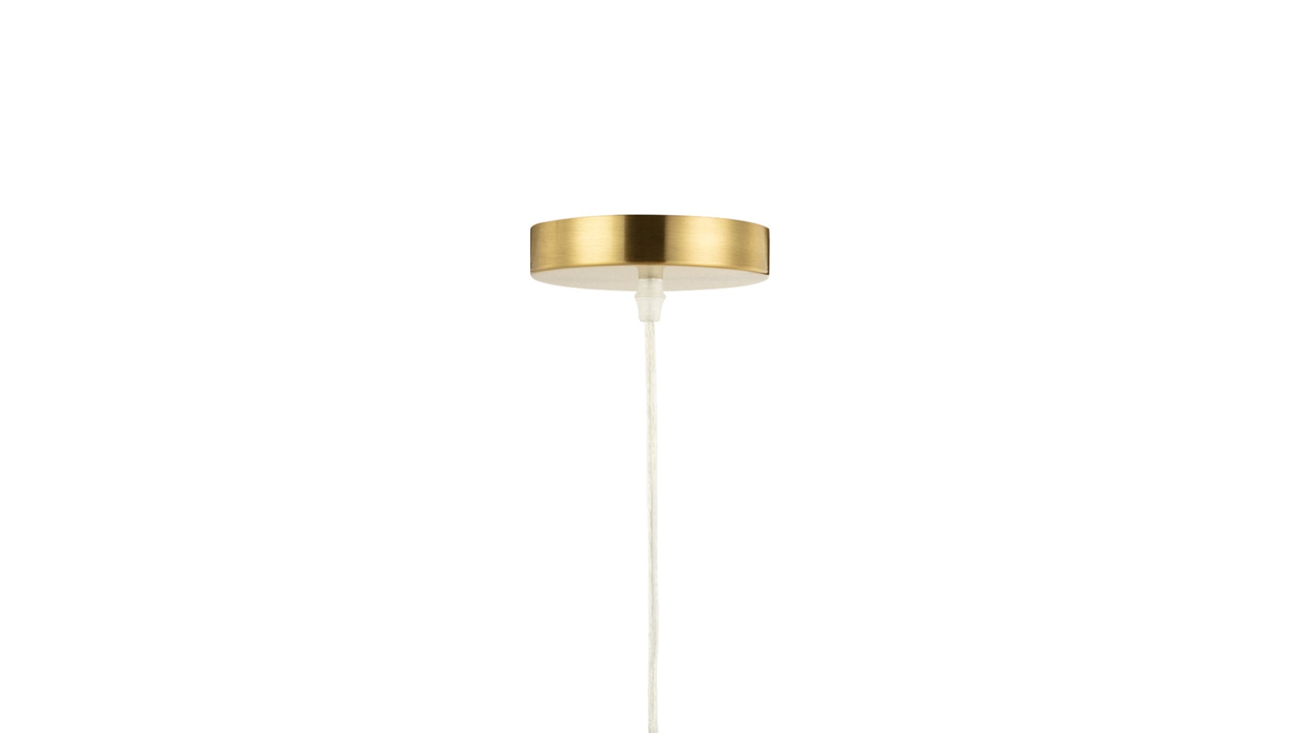 AmmoniteBrass