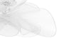 Tulle - Tulle - Tulle Ceiling Lamp - Image 8