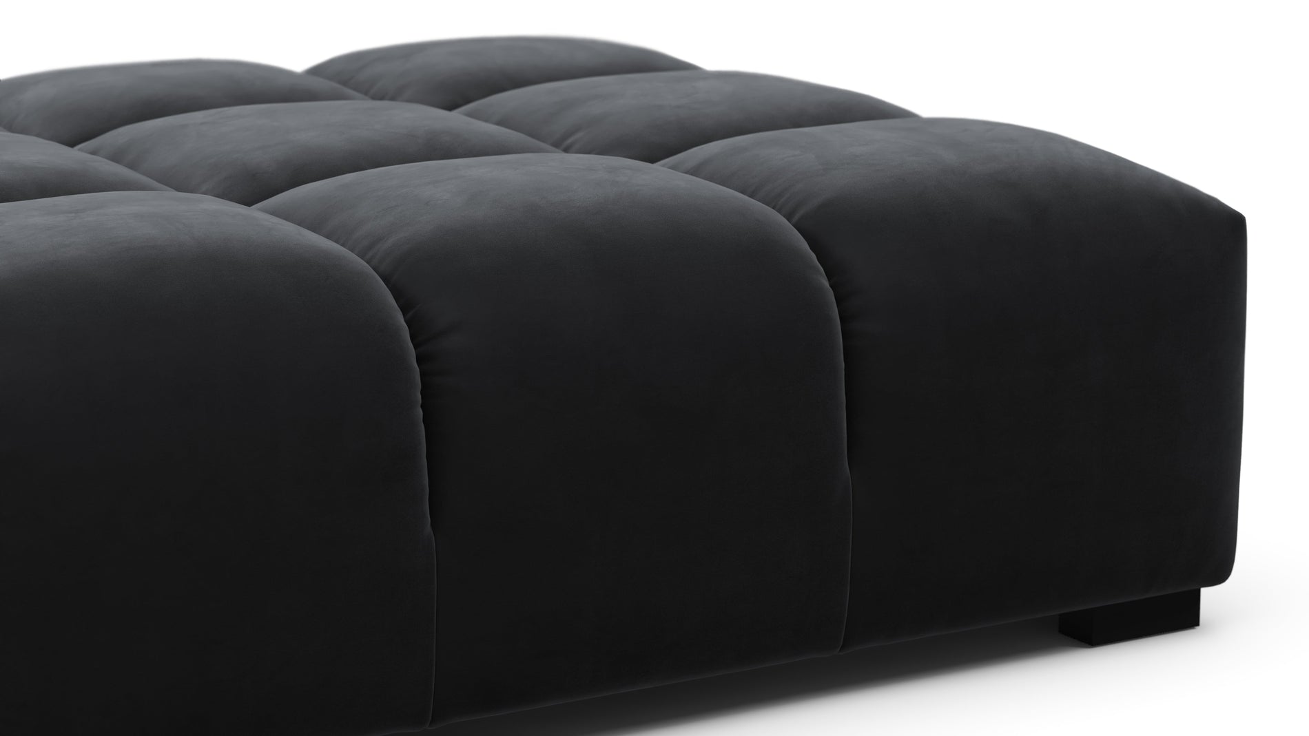 TuftyBlack Velvet