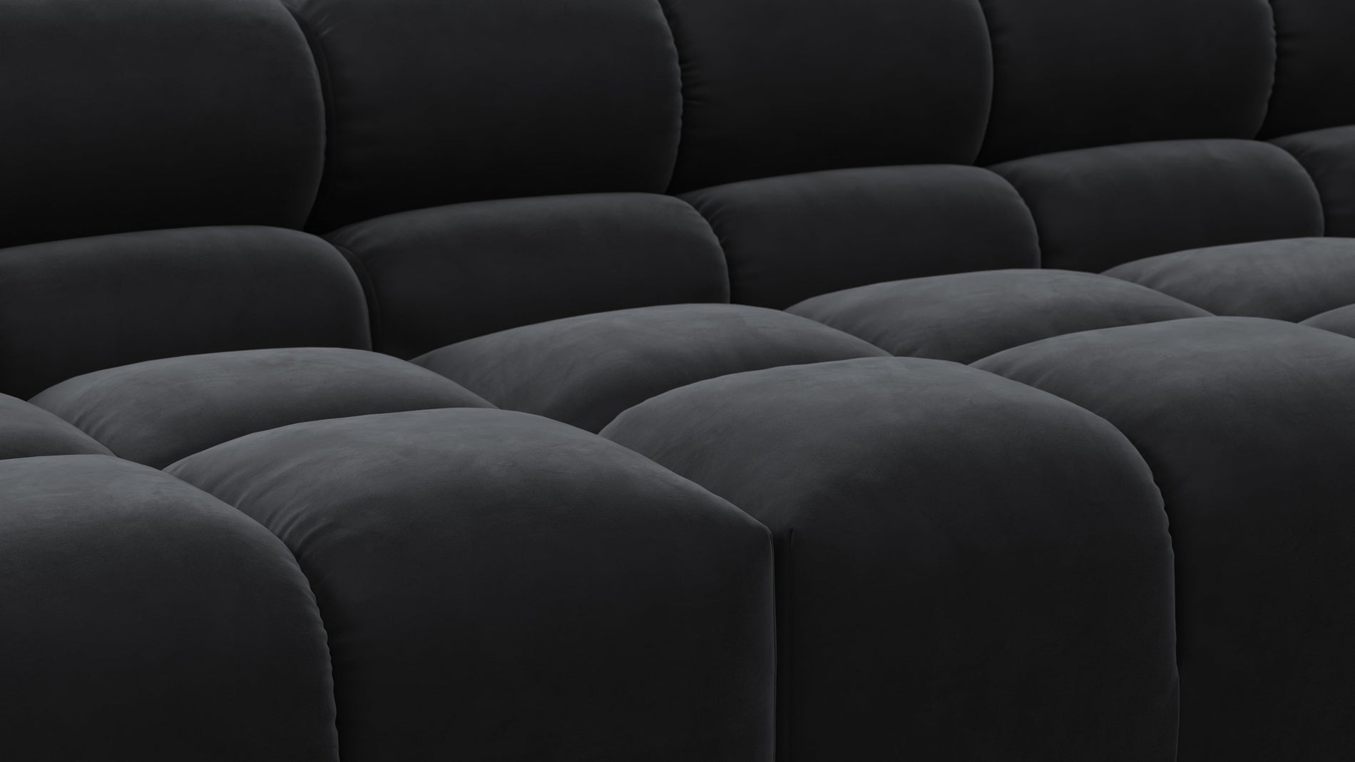 TuftyBlack Velvet