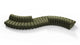 DS 600 - Deep Olive Vegan Leather - Image 4