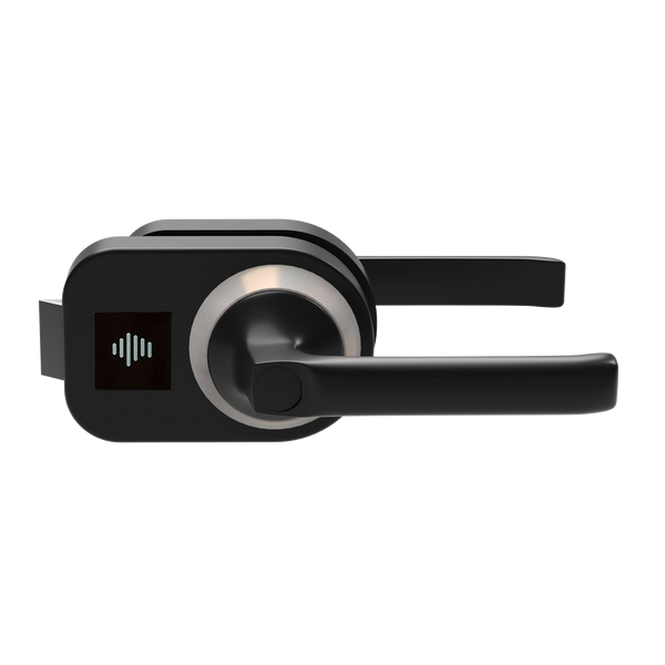 Smart LockBlack