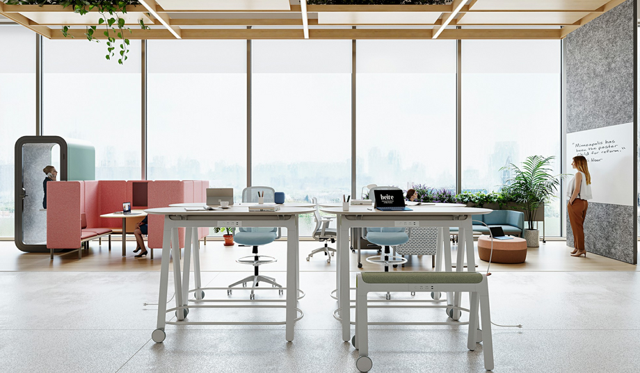 Receção Default Title