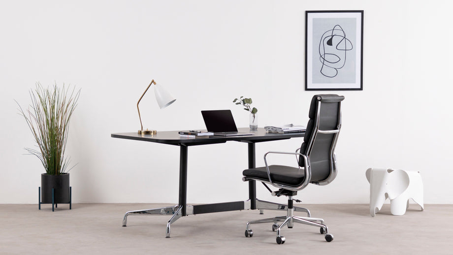 Konik polnyWhite
