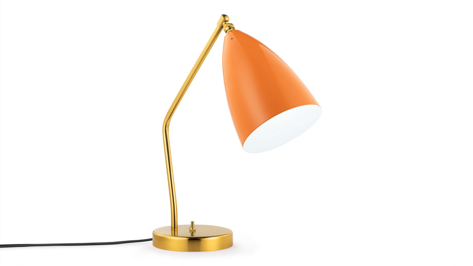 Konik polnyOrange