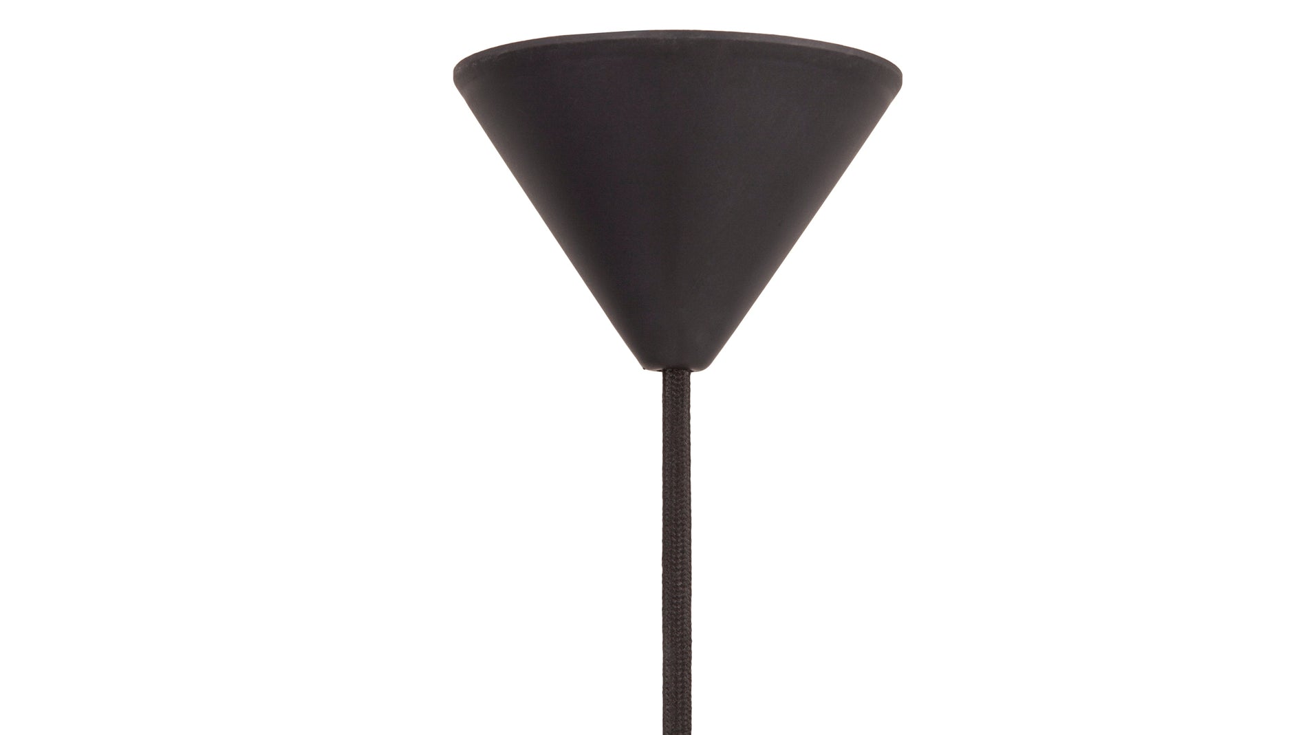 GrasshopperBlack