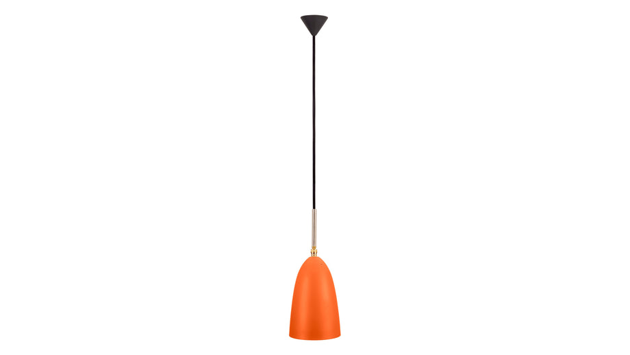 HeuschreckeOrange