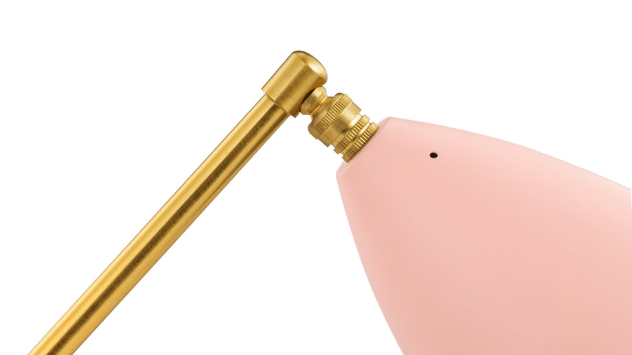 Konik polnyPink