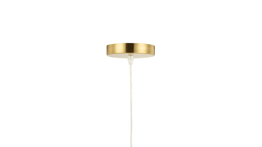 AmmoniteBrass