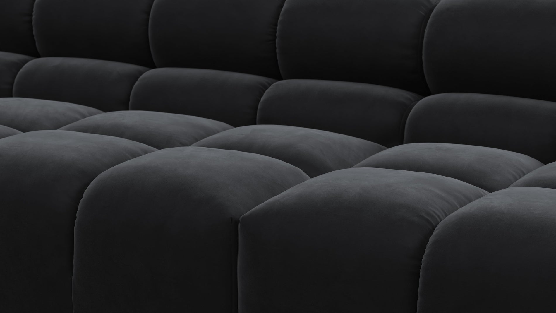 TuftyBlack Velvet