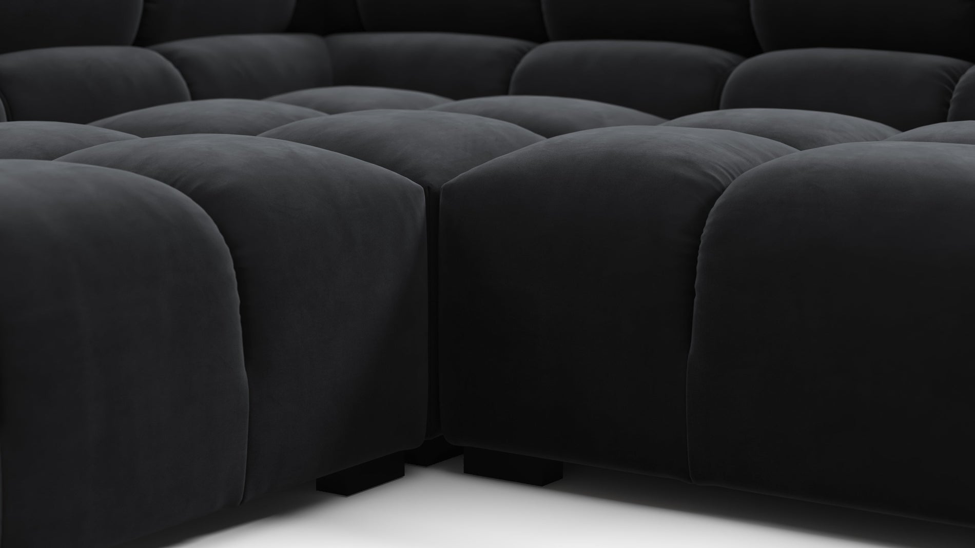 TuftyBlack Velvet