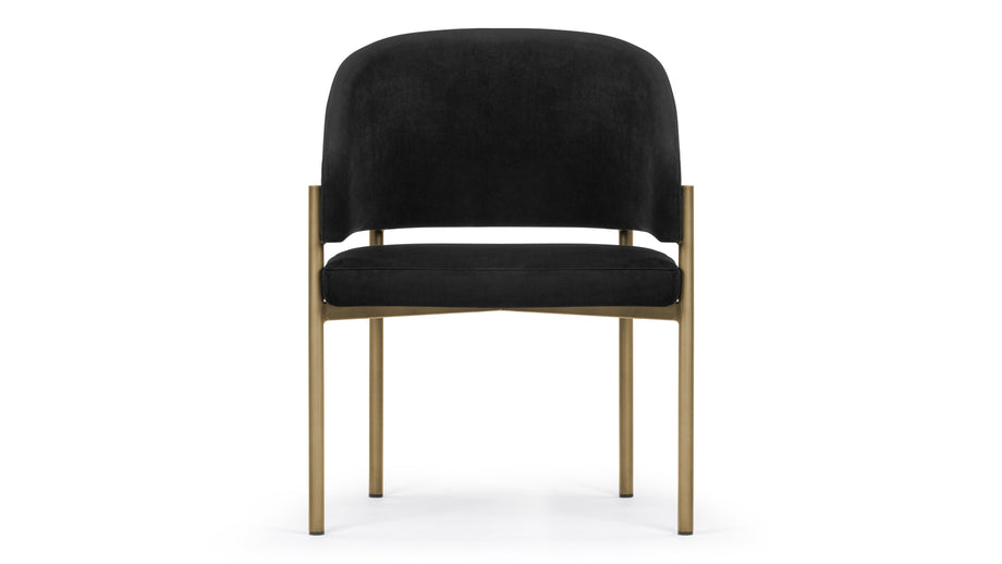 EsmeBlack Plush Velvet and Brushed Brass