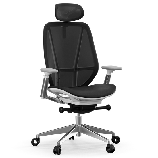 Hoxton Office Medium Back Padded Mesh Chair Black