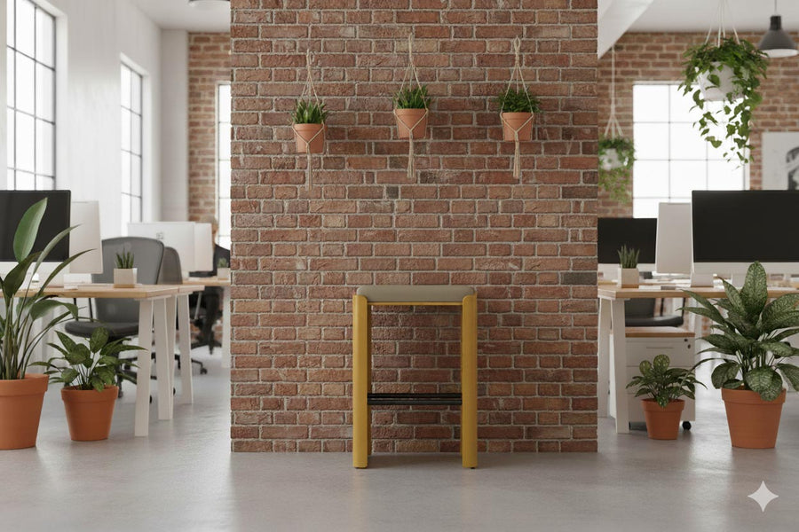 Okse V1 Coffee / Dijon