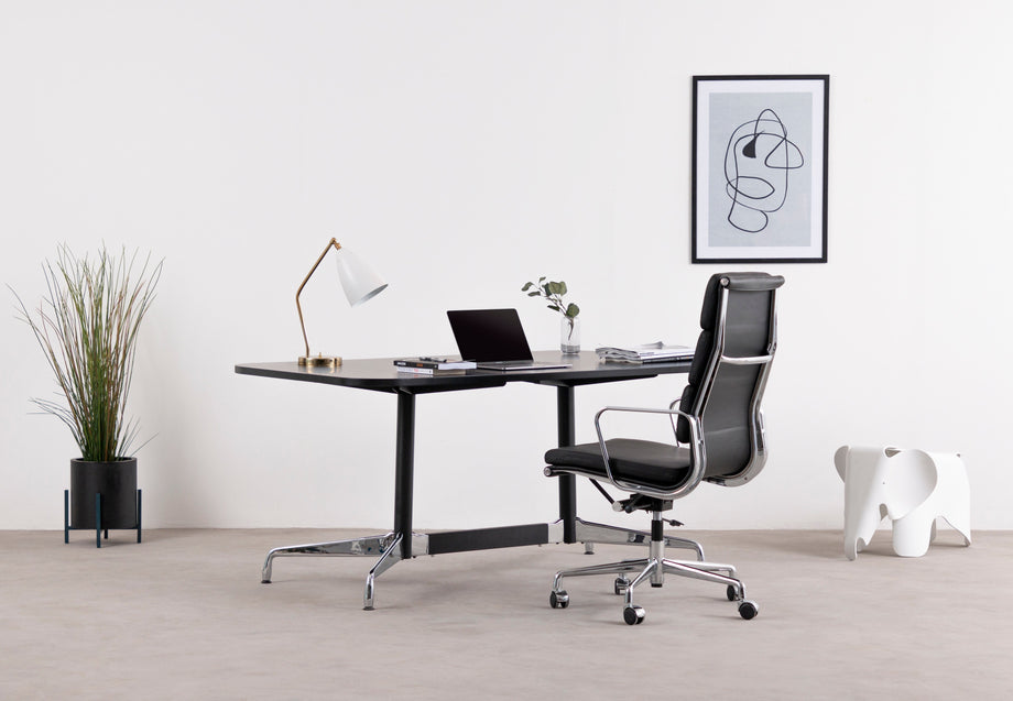 Konik polnyWhite